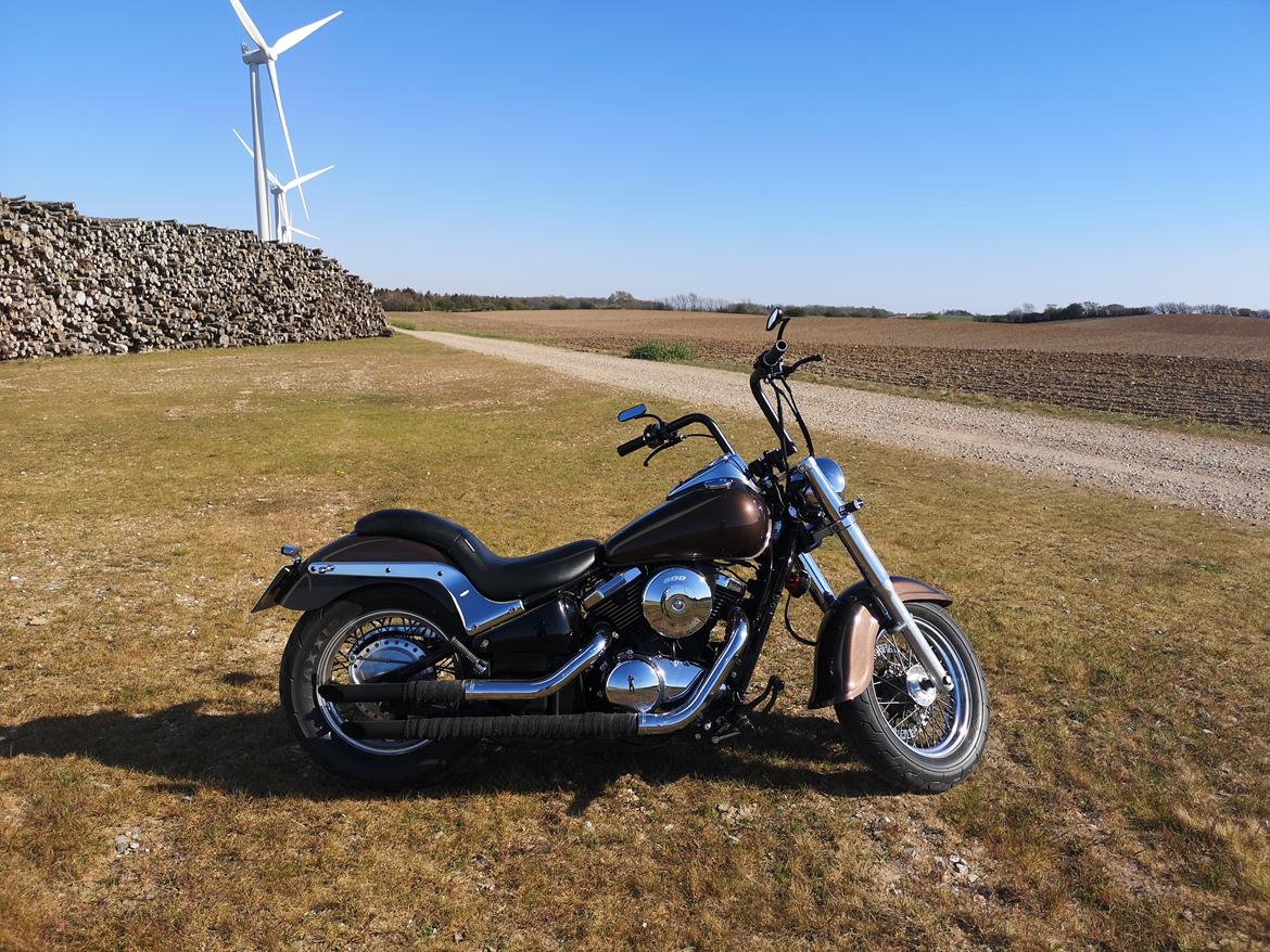 Kawasaki VN800 billede 9