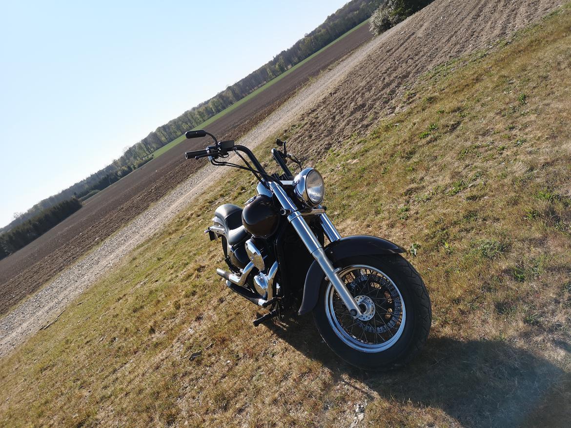 Kawasaki VN800 billede 14