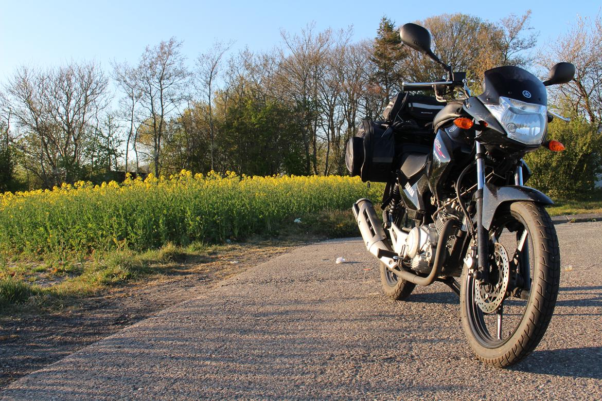 Yamaha YBR 125 billede 22