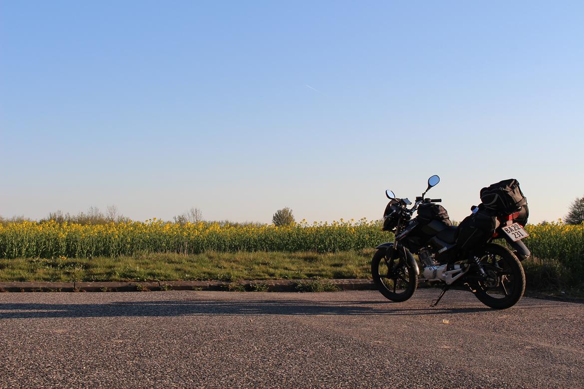 Yamaha YBR 125 billede 23
