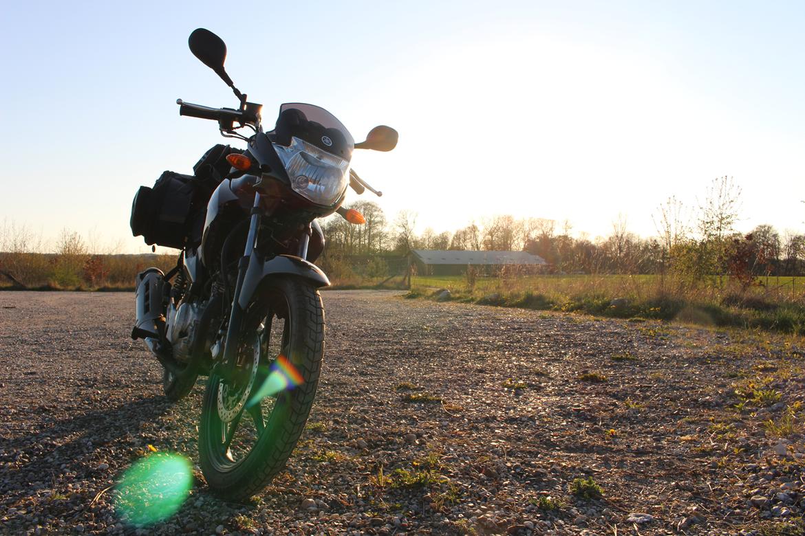 Yamaha YBR 125 billede 27