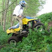 Suzuki LT250