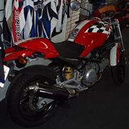 Ducati Monster 600 Cores