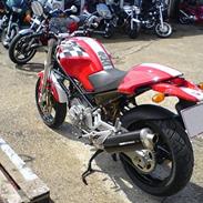 Ducati Monster 600 Cores