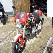 Ducati Monster 600 Cores