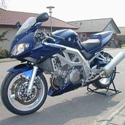 Suzuki SV 1000 S K4