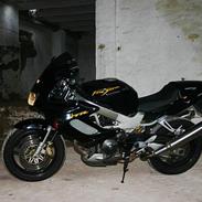 Honda VTR1000 Firestorm