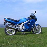 Suzuki GS500E