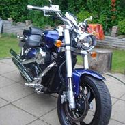 Suzuki Intruder M 800 (DØD)