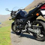 Suzuki Bandit 650s