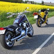 Suzuki VL1500