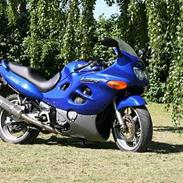 Suzuki GSX600F