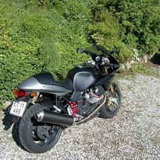Moto Guzzi V11 Le Mans Scura