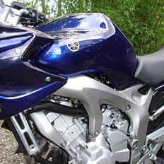 Yamaha FZ6-S 2005 - SOLGT