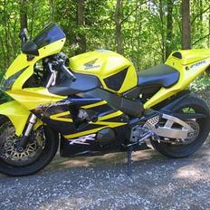Honda ***CRASHED*** CBR 954RR