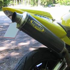 Honda ***CRASHED*** CBR 954RR