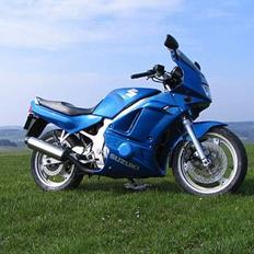 Suzuki GS500E