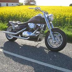 Suzuki VL1500