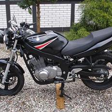 Suzuki GS 500 E SOLGT