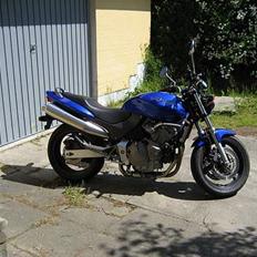 Honda CBR 600 Hornet *SOLGT*