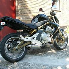 Kawasaki Er 6n