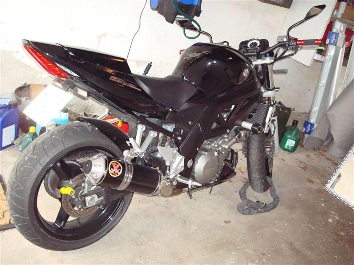 Suzuki sv1000 - Hugger og egosæde billede 1