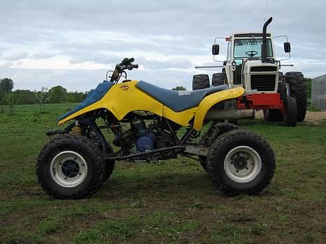 Suzuki LT250 billede 1