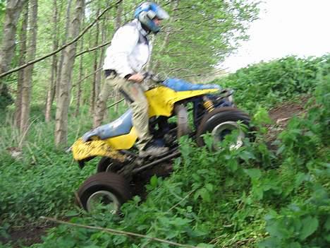 Suzuki LT250 billede 5