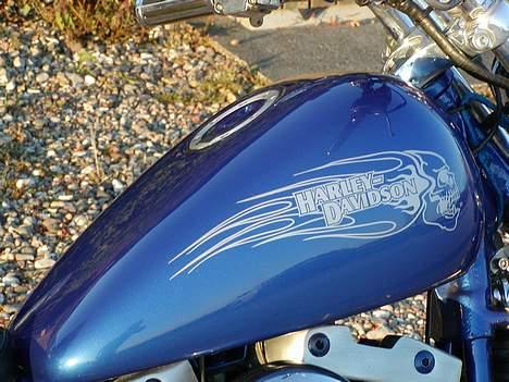 Harley Davidson Sportster(TILS... / BYT ) billede 10