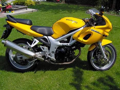 Suzuki SV 650s (Solgt) billede 1