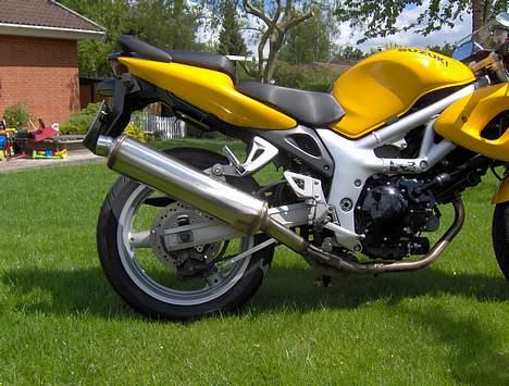 Suzuki SV 650s (Solgt) billede 11