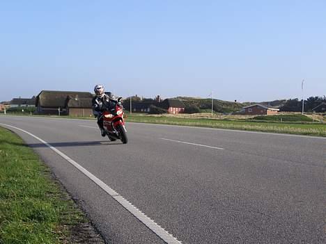 Yamaha YZF R6 - Solgt billede 7