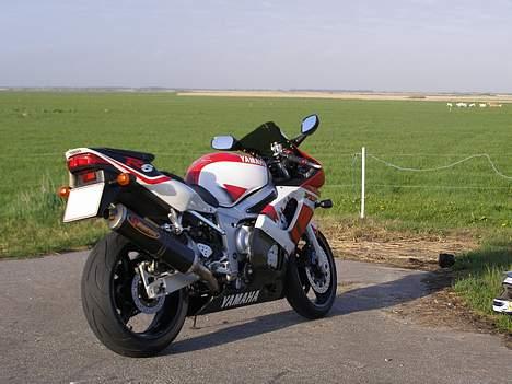 Yamaha YZF R6 - Solgt billede 8