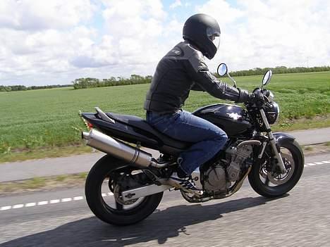 Honda CB 600 f1 hornet billede 8