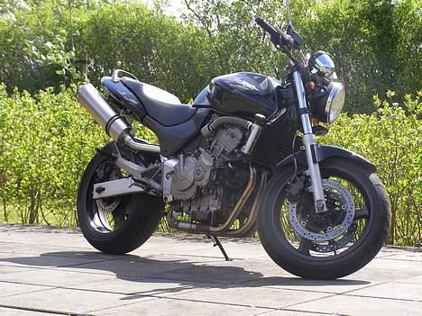 Honda CB 600 f1 hornet billede 9