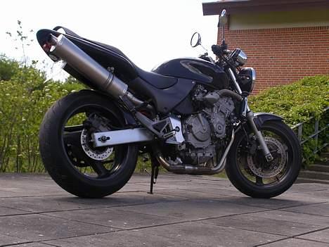Honda CB 600 f1 hornet billede 10