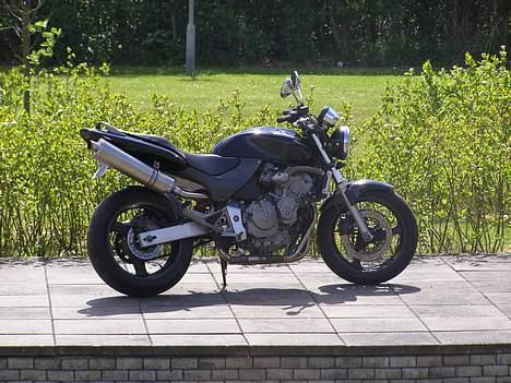 Honda CB 600 f1 hornet billede 11