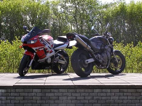 Honda CB 600 f1 hornet billede 14