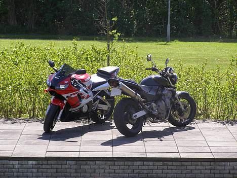 Honda CB 600 f1 hornet billede 15