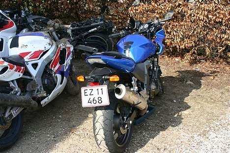 Kawasaki Z750S DØD - Efter mødet med en modkørene bil søndag d. 23/4 billede 8