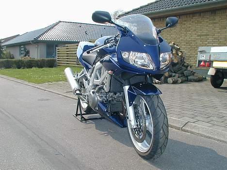 Suzuki SV 1000 S   K4 billede 8