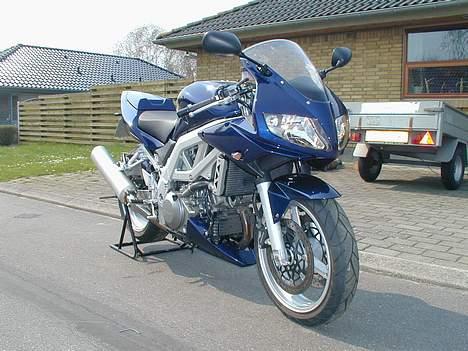 Suzuki SV 1000 S   K4 billede 9