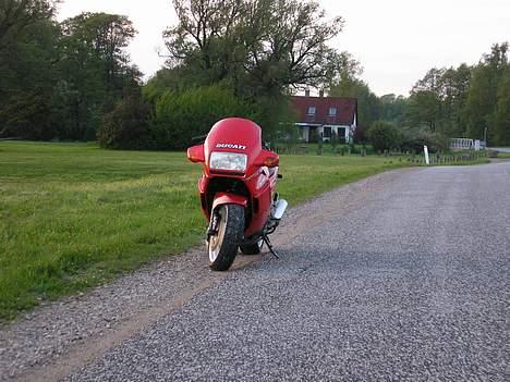 Ducati 750 PASO billede 13