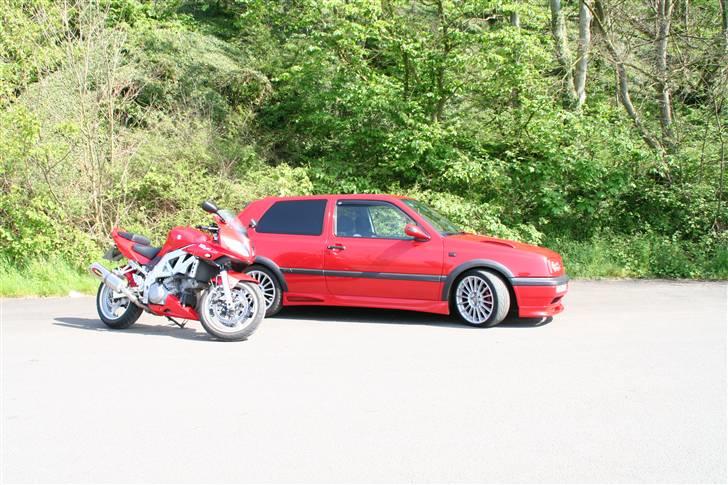 Suzuki SV1000S (Solgt) - 22-5-07 taget på bornholm billede 1