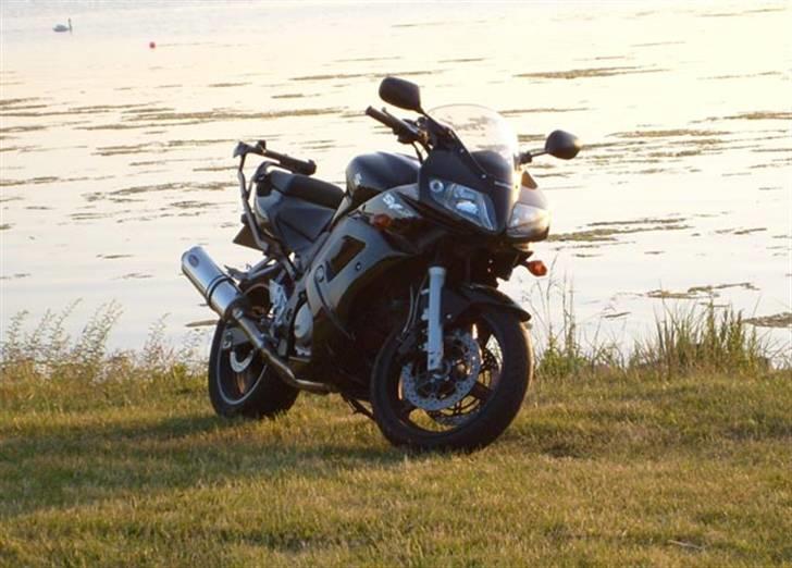 Suzuki SV650Sk5 billede 1