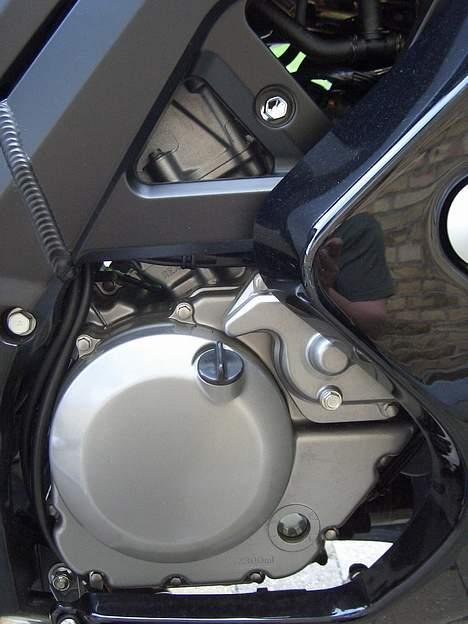 Suzuki SV650Sk5 billede 2