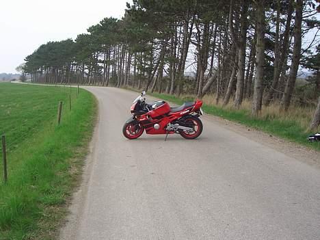 Honda cbr 600  billede 5