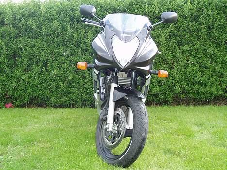 Suzuki gs500f - tja, xenon en gang i fremtiden skal jeg da ikke kunne afvise:-) billede 2