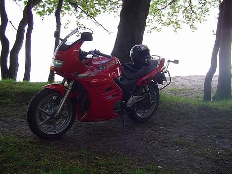 Honda CB500   SOLGT! - skov og strand billede 3