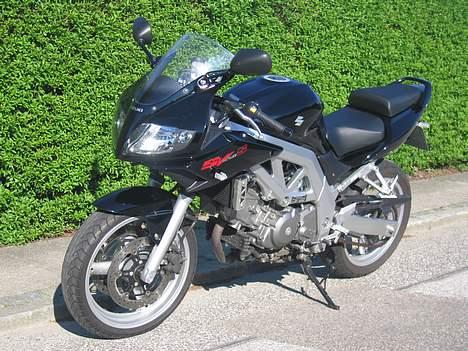 Suzuki SV 650 S billede 2